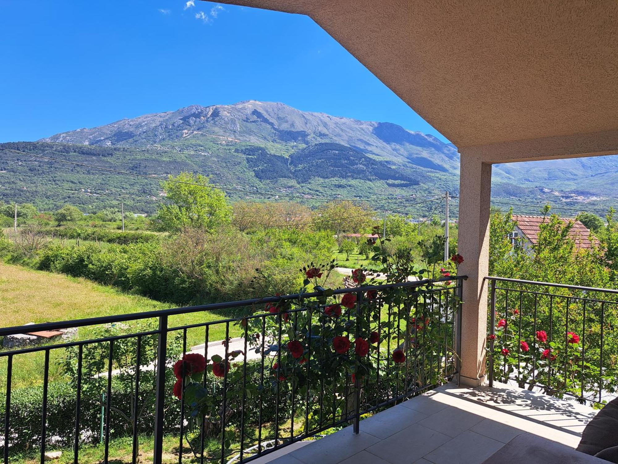 Apartmani EMMA Kotor Bagian luar foto