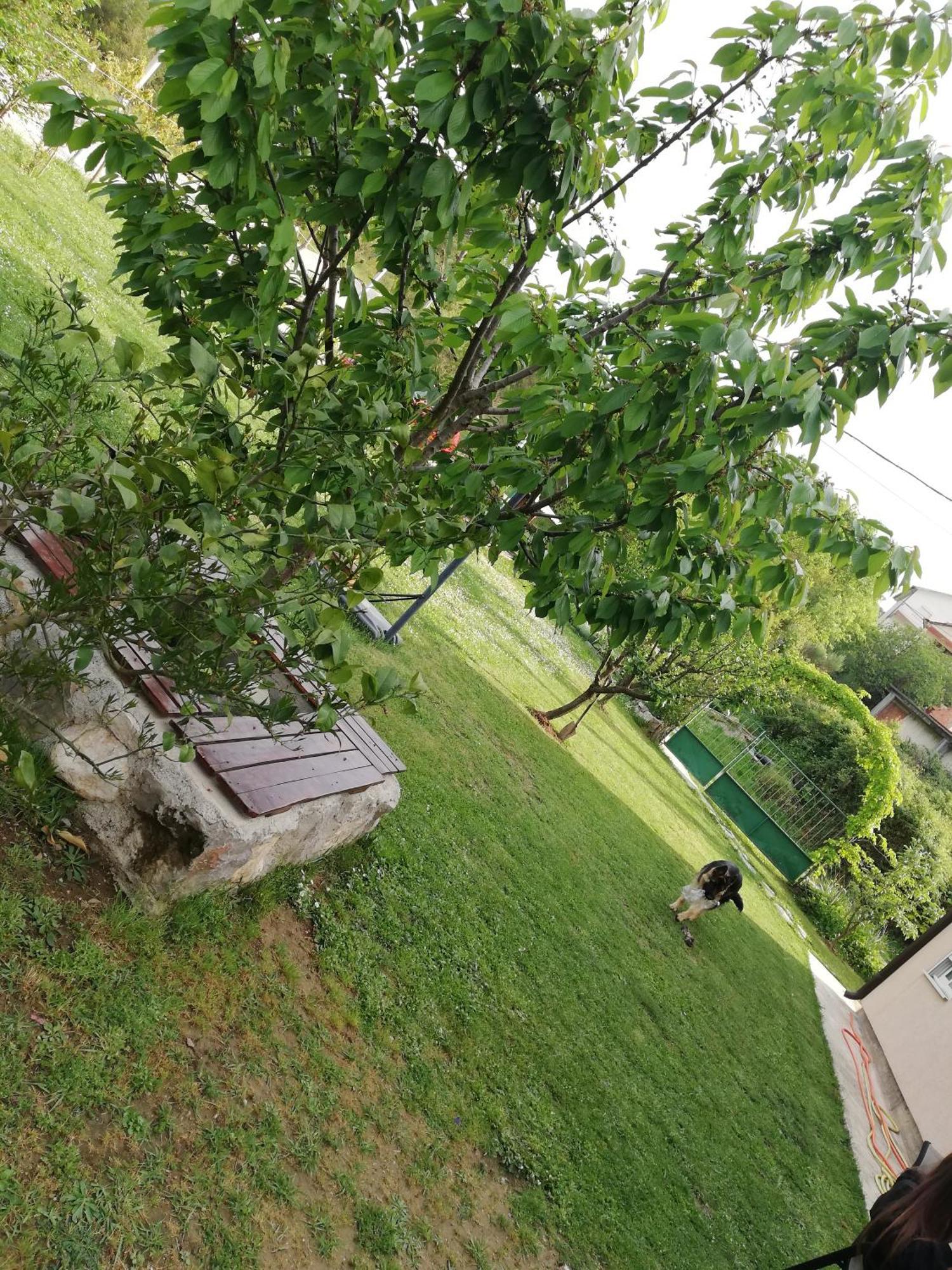Apartmani EMMA Kotor Ruang foto